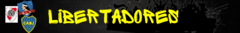 Banner da categoria Libertadores