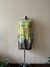 Vestido curto Farm
