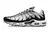 Nike Air Max Tn 1 “Seafoam”