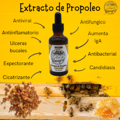 Extracto de Propóleo Gotero 50ml - comprar en línea