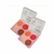 Paleta Garden Fenzza 10g - comprar online