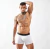 Combo: 2 Boxers Estampados + 1 Boxer Liso - comprar online