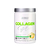 Collagen Plus 360gr En Polvo Sabor Limón - Star Nutrition - comprar online