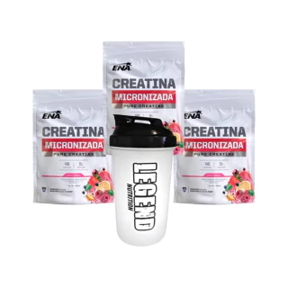 3 Creatina Micronizada 100% Pura X 300gr Sabor Fruit Punch Vaso Legend Nutrition