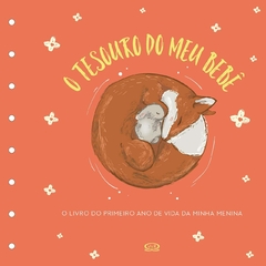 TESOURO DO MEU BEBE: O LIVRO DE RECOR (LARANJA)