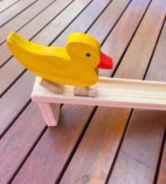 Pato com Rampa na internet