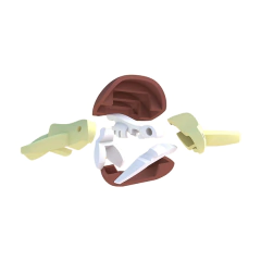 Tartaruga (Bichos Magnéticos) - loja online