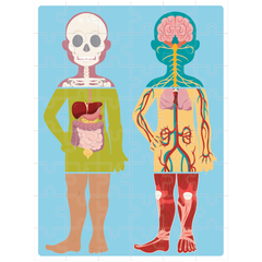BOX DE APRENDIZAGEM - GRANDES IDEIAS: GENIAL CORPO HUMANO - loja online