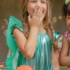 Asa Fada Tinker Paete Verde - Toca do Jiló | Brinquedos e Outros Afetos