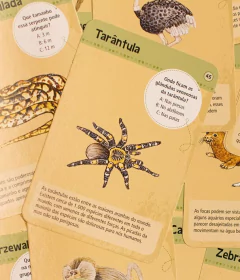 50 Animais de Zoológico na internet