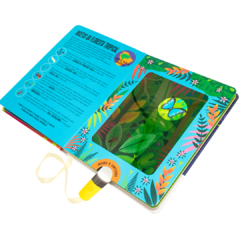 Livro Lanterna - PROCURE E ENCONTRE! INSETOS - comprar online