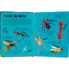 Livro Lanterna - PROCURE E ENCONTRE! INSETOS - Toca do Jiló | Brinquedos e Outros Afetos