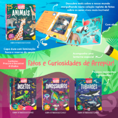 Procure e Encontre! Animais (Livro Lanterna)