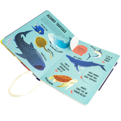 Livro Lanterna - PROCURE E ENCONTRE! ANIMAIS DO OCEANO na internet