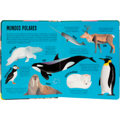 Procure e Encontre! Animais (Livro Lanterna) - loja online