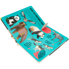 Procure e Encontre! Animais (Livro Lanterna) na internet