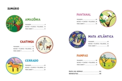 Brasil, 100 Palavras na internet