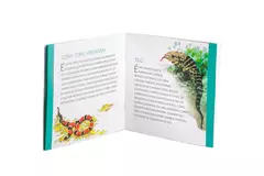 Viva a Mata Atlântica! (Kit livro + Jogo da Memória) - Toca do Jiló | Brinquedos e Outros Afetos