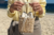 Bolsa Aracaju on internet