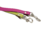 Guia Pet Miami - comprar online