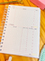 Imagem do Planner Financeiro - Só vive o propósito, quem suporta o processo