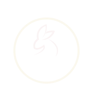 Editora Promise