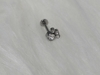 Labret Patinha 3