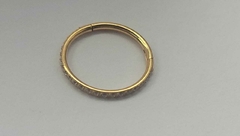 Segmento Aço PVD Gold Mais Fino Cravejado