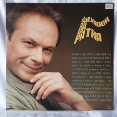 Lp Trilha Da Novela O Salvador da Pátria - NACIONAL (1989)