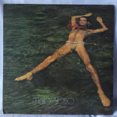 Lp Ney Matogrosso - Mato Grosso (1982) - Com Encarte