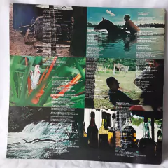 Lp Ney Matogrosso - Mato Grosso (1982) - Com Encarte na internet