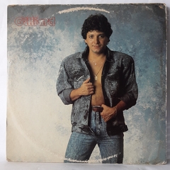 LOTE COM 3 DISCOS DE VINIL - CAMEN SILVA E GILLIARD - Sebo Casa Laranja