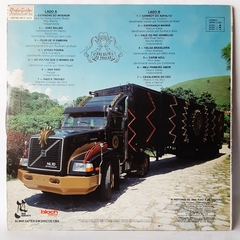 LP TRILHA SONORA DA NOVELA - ANA RAIO E ZÉ TROVÃO - NACIONAL - comprar online