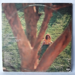 LP BETH CARVALHO - BETH (1986) - COM ENCARTE - comprar online