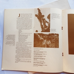 Lp Som Brasil - Disco De Vinil Duplo + Encarte - loja online