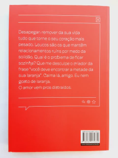 LIVRO NÃO SE APEGA, NÃO - ISABELA FREITAS na internet