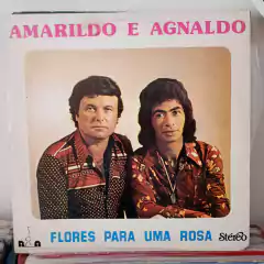 Lote com 10 discos de música sertaneja - Lote 6 na internet