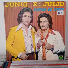 Lote com 10 discos de música sertaneja - Lote 6 - Sebo Casa Laranja