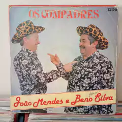 Lote com 10 discos de música sertaneja - Lote 7 - comprar online