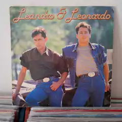 Lote com 10 discos de música sertaneja - Lote 7 na internet