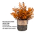 Arranjo Planta Verde Cor Coral Artificial em Vaso Ceramica - comprar online