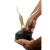 Escultura Pássaro Dourado Base Cor Cimento Resina Moderno P - Natuhome | Esculturas, Decoração, Peças Decorativas E Muito Mais