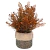Arranjo Planta na cor Coral Artificial no Vaso em Ceramica