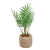 Arranjo Planta Mini Coqueiro Artificial Vaso em Ceramica