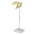 Escultura pássaro dourado resina decorativa com base pedra P