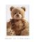 Quadro Decorativo Teddy - loja online