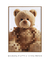 Quadro Decorativo Teddy