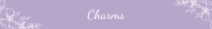 Banner da categoria Charms