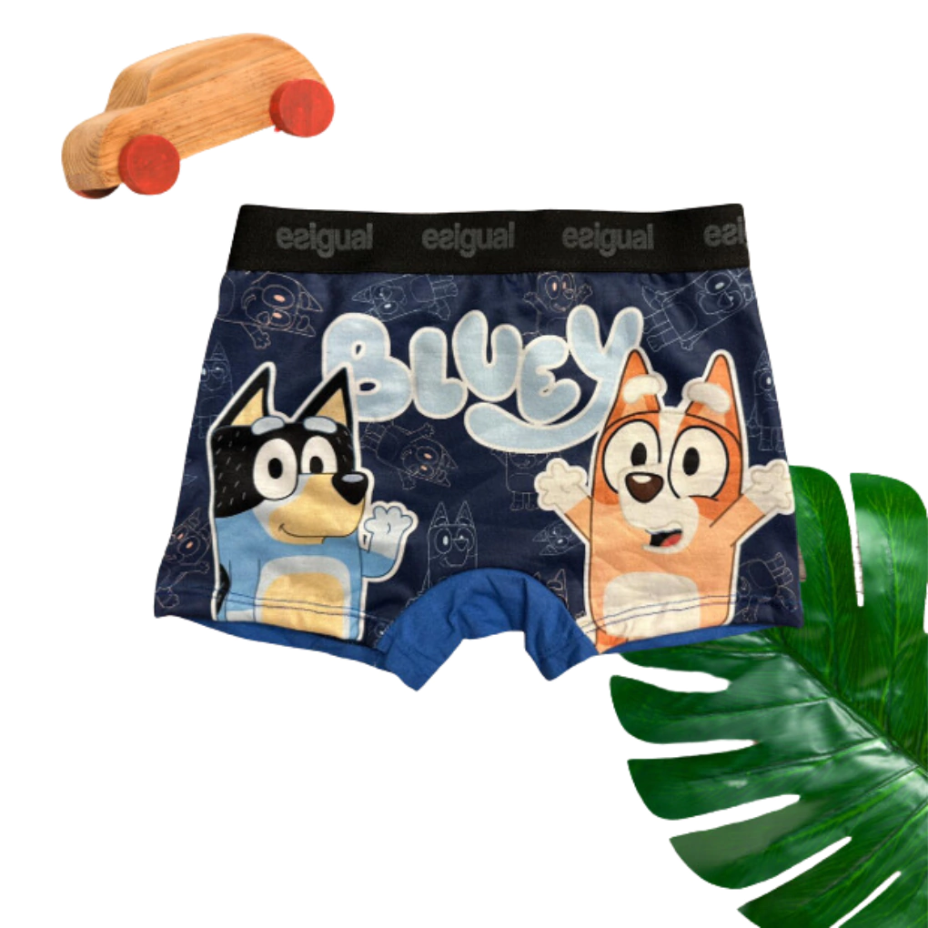 Boxer Bluey