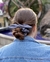 Kit 5 Scrunchies (xuxinhas) em Corino - Coleção Outono/Inverno 25 - K-5-SC01-OI25 na internet